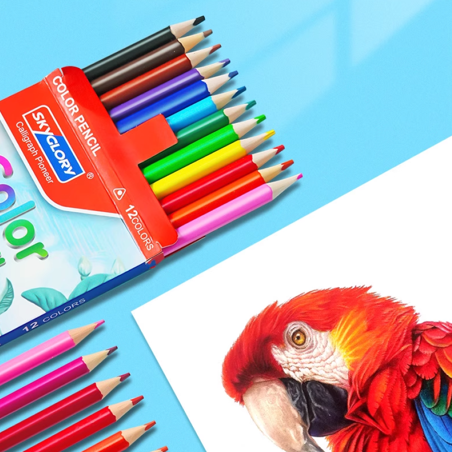 60010000401_2 Colored Pencil Set for Students Drawing Oil-Based 12 / 36 colors