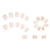 80040001201_4-1.png Elegant Camellia Flower Short Square Press-On Nails