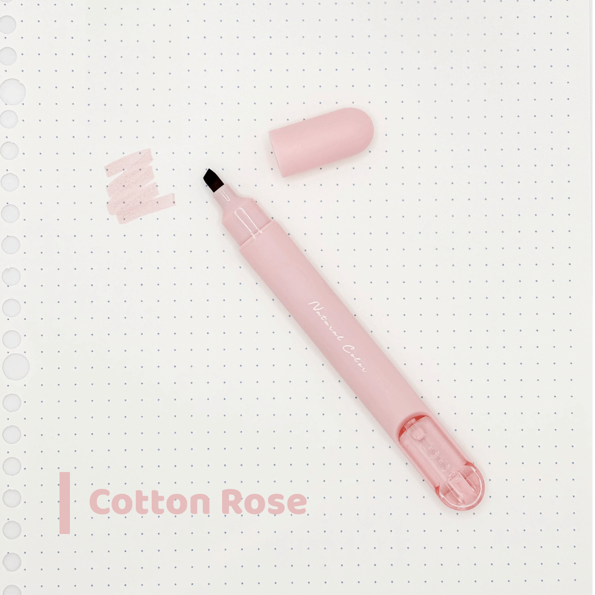Cotton Rose